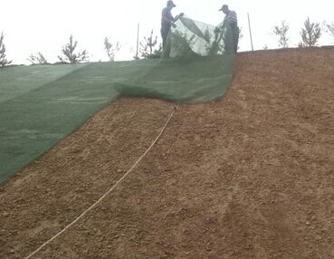 三维植被网