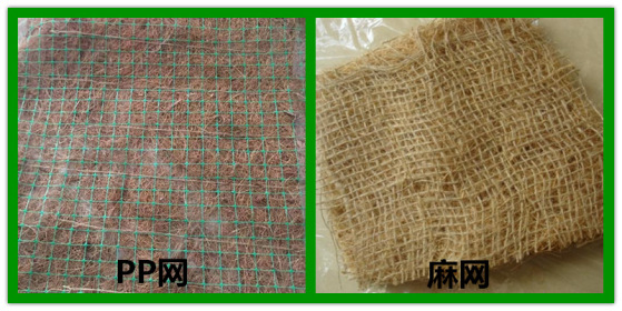 椰丝毯