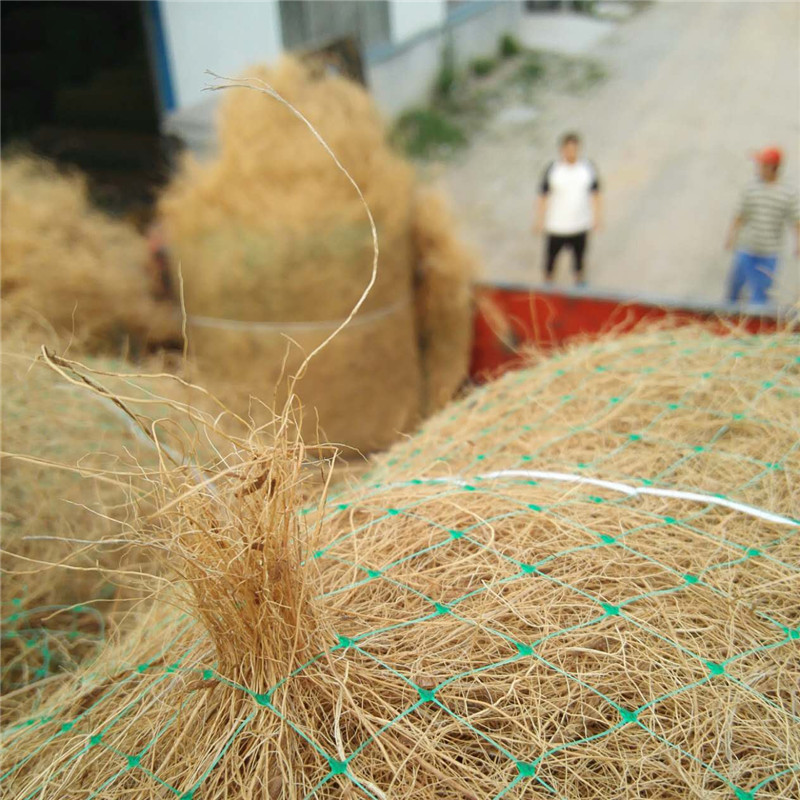 椰丝毯